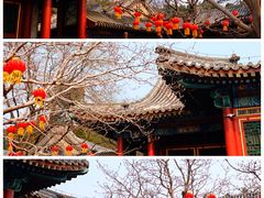 -颐和园