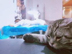 -幸运7纹身刺青Lucky7tattoo