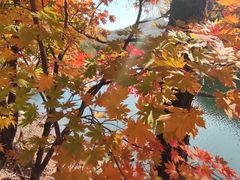 -丹东天桥沟景区