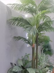 -八佰伴8008星级形象店