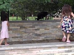 -北京麋鹿生态实验中心