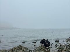 -大连自然博物馆
