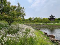 -上海海湾国家森林公园