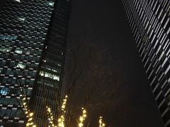 -上海浦东嘉里大酒店