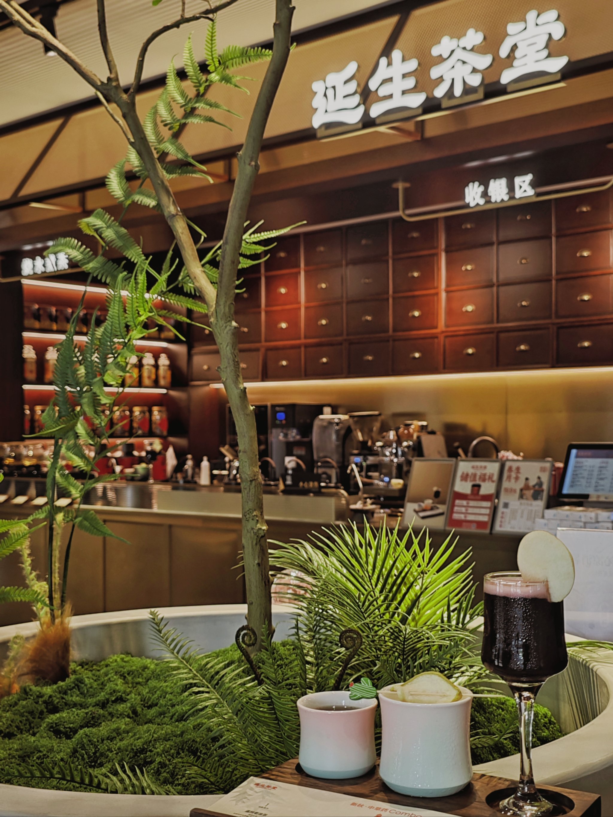 养生茶连锁店(养生茶加盟店有利润吗)