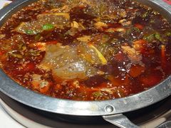 -蜀滋香鲜鱼美蛙火锅(339店)