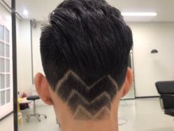 -T8 SALON