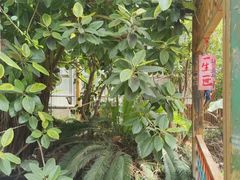 -呀路古热带植物园