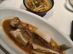 -荣轩(新荣记环球金融中心店)