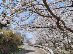 -四明山国家森林公园