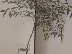 -墨宴(西洋湖店)