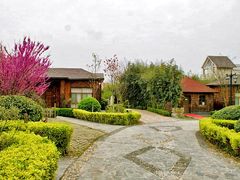 -金孔雀温泉旅游度假村