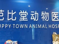 -芭比堂动物医院·24小时·眼科中心(深圳中心)