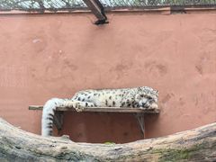 -青藏高原野生动物园