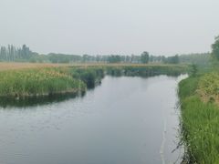 -野鸭湖国家湿地公园