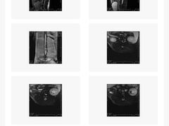 -北京派仕佳德动物医院·超导核磁·CT·神经科·骨科·内外科·急重症管理中心
