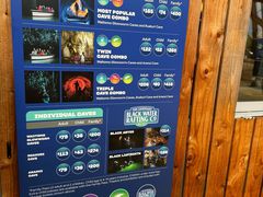 -怀托摩萤火虫洞