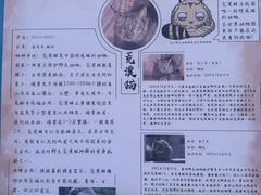 -青藏高原野生动物园