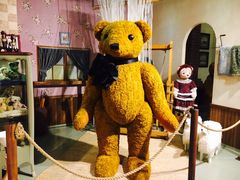 -济州岛泰迪熊博物馆