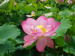 -贵阳蓬莱仙界