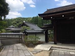 -西芳寺(苔寺)