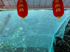 -弓虽昌焖烧鸡(大竹林店)