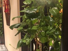 -二分八云雁阁•新晋菜大同味(长治路店)