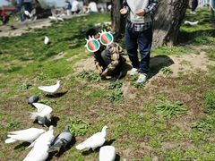 -南通洲际绿博园