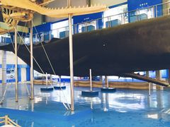 -上海海洋大学鱼文化博物馆(军工路校区)