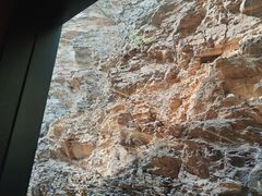 -雅苑中餐厅