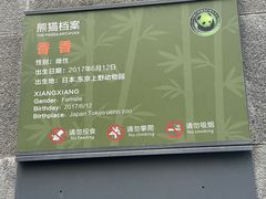 -中国大熊猫保护研究中心雅安碧峰峡基地