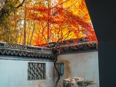 -秋霞圃