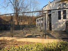 -保定市动物园
