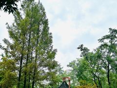 -重庆彩云湖湿地公园