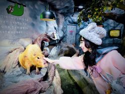 -Zoolung Zoolung动物主题公园(海信广场店)