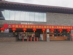 -都江堰中华大熊猫苑