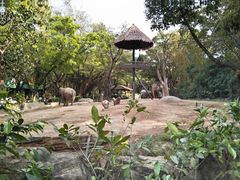 -广州长隆野生动物世界