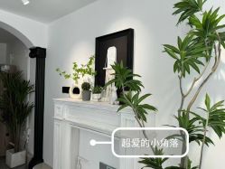 -U+nail优加专业美甲美睫