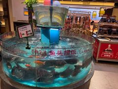 -魏铭鱼头捞饭(嘉善店)