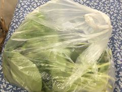 -前小桔亲子创意农场·草莓采摘·露营烧烤