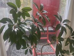 -陈熹公民族美食文化餐厅(中华广场店)