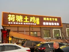-荷塘土鸡(河东店)