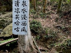 -莫干山风景区