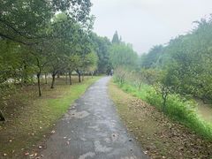 -中国美术学院象山校区-民艺博物馆