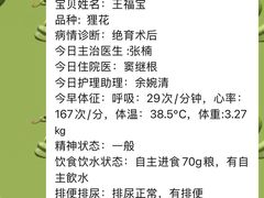 -美联众合动物医院·24h京西诊疗中心