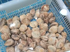 -和源祥·日照菜扛把子(万平口一店)