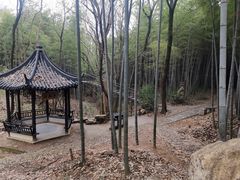 -宝岩生态观光园