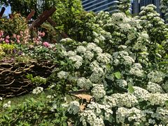 -东方体育中心(地铁站)