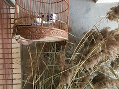 -茶香书香私房菜(北台一路店)