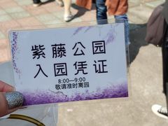 -嘉定紫藤园